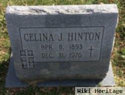 Celina J Hinton