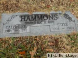 Calvin Hammons, Sr