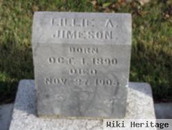 Lillian Alice "lillie" Jimeson