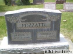 Isidoro L Pozzatti