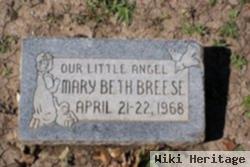 Mary Beth Breese