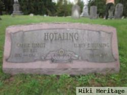 Carrie Tibbit Hotaling