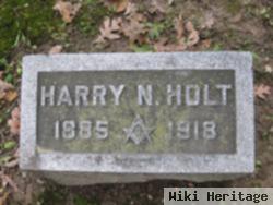 Harry Nelson Holt