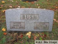 George Brinton "buck" Bush