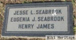 Eugenia James Seabrook