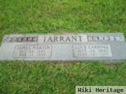 Lucy Carroll Tarrant