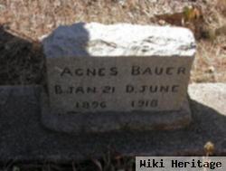 Agnes Samsky Bauer