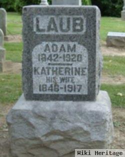 Adam Laub