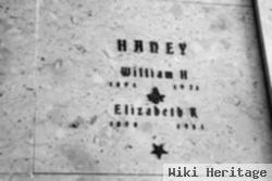 Elizabeth R Haney