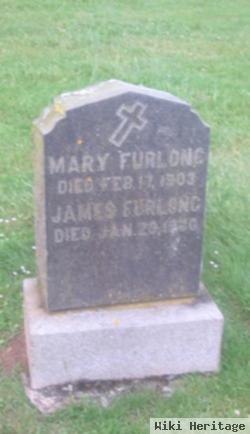 Mary Furlong