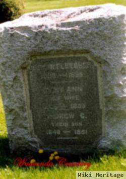 Mary Ann Hill Fletcher