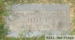 Carol Ann Holt