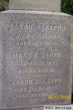 Sarah A. Leppo