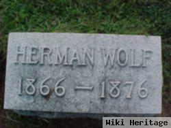 Herman Wolf