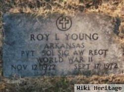 Roy Lowell Young