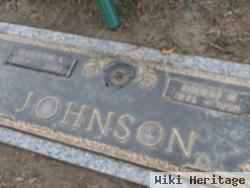 Robert H Johnson