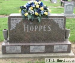 David C. Hoppes