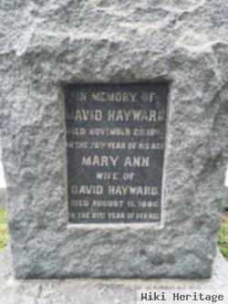 David Hayward