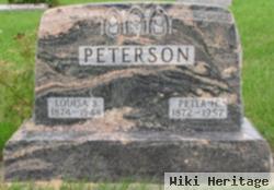 Peter H Peterson