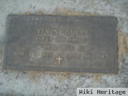 Elvin Gull