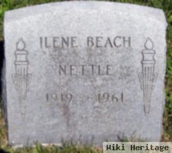 Ilene W Beach Nettle