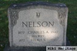 Hilma S. Anderson Nelson