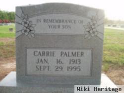 Carrie Palmer