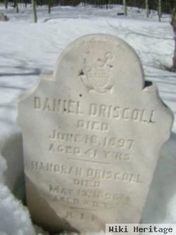 Daniel Driscoll