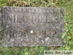 Niel Gillis