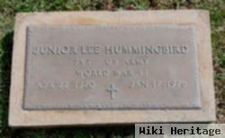 Junior Lee Hummingbird