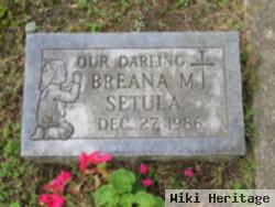 Breana M Setula