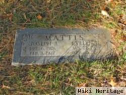 Joseph F Mattis
