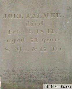 Joel Palmer