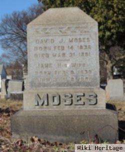 David J Moses