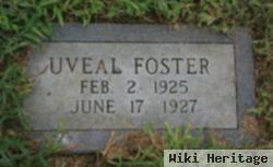 Uveal Foster