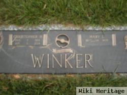 Christopher H Winker