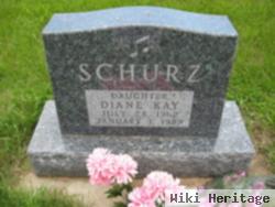 Diane Kay Schurz