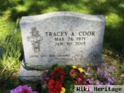 Tracey Ann Messenger Nichols Cook