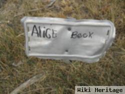 Alice M Beck