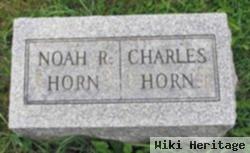 Charles Horn
