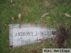 Anthony J Montano