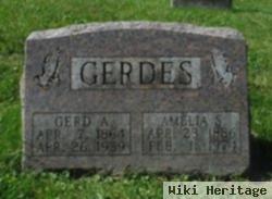 Amelia S Gerdes