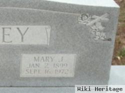 Mary J Riley