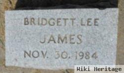 Bridgett Lee James