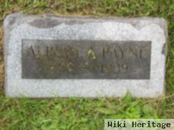 Albert A. Payne