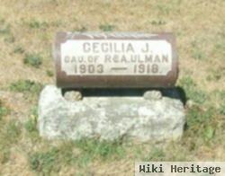 Cecelia J Ulman