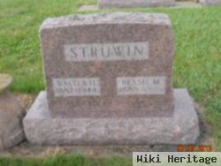 Walter H Struwin