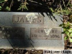 Newberry James, Jr