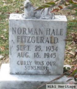 Norman Hale Fitzgerald