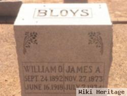 Pvt William Orville "willie" Bloys